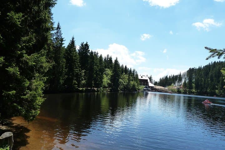 Best of the Black Forest and Rhinefalls from Zurich