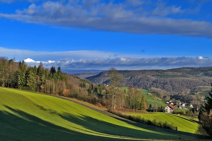 Best of the Black Forest and Rhinefalls from Zurich