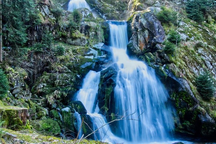 Best of the Black Forest and Rhinefalls from Zurich
