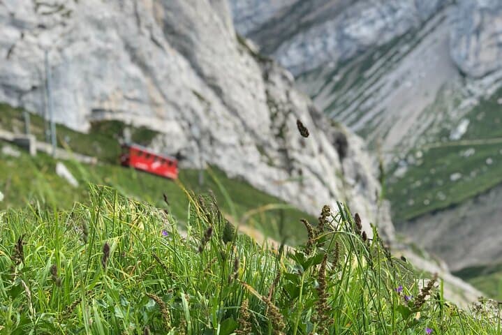 Mt. Pilatus & Lake Lucerne Cruise Private Tour | From Lucerne