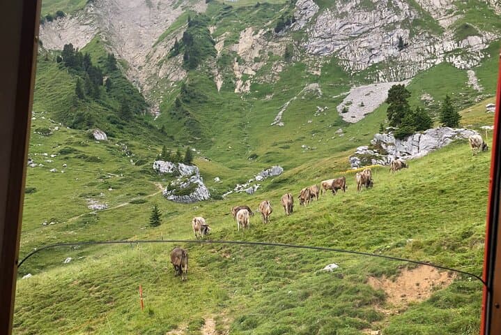 Mt. Pilatus & Lake Lucerne Cruise Private Tour | From Lucerne