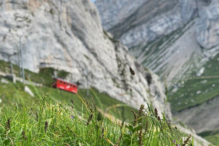 Mt. Pilatus & Lake Lucerne Cruise Private Tour | From Basel