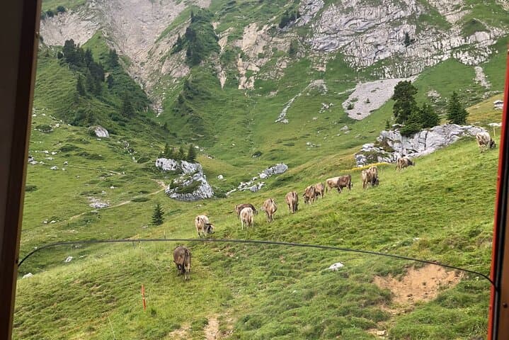 Mt. Pilatus & Lake Lucerne Cruise Private Tour | From Basel