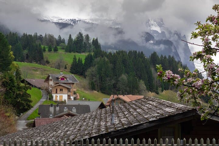 Daytrip to Swiss Villages: Interlaken Grindelwald & Lauterbrunnen