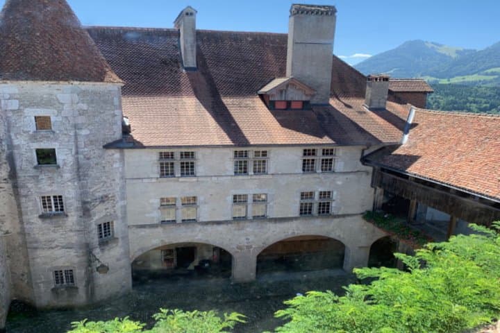 Gruyères and Chillon Castles Day Tour | From Bern