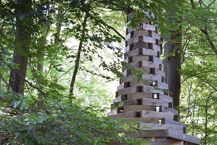 Photo Tour and Artworks in the Capriasca Redde Wood