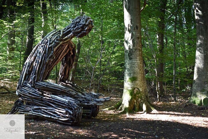 Photo Tour and Artworks in the Capriasca Redde Wood