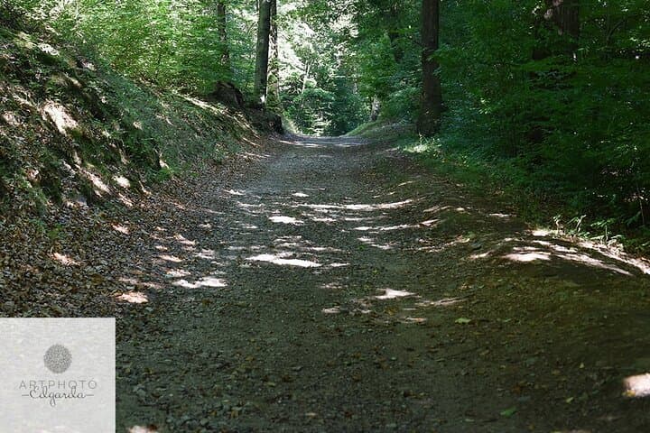 Photo Tour and Artworks in the Capriasca Redde Wood