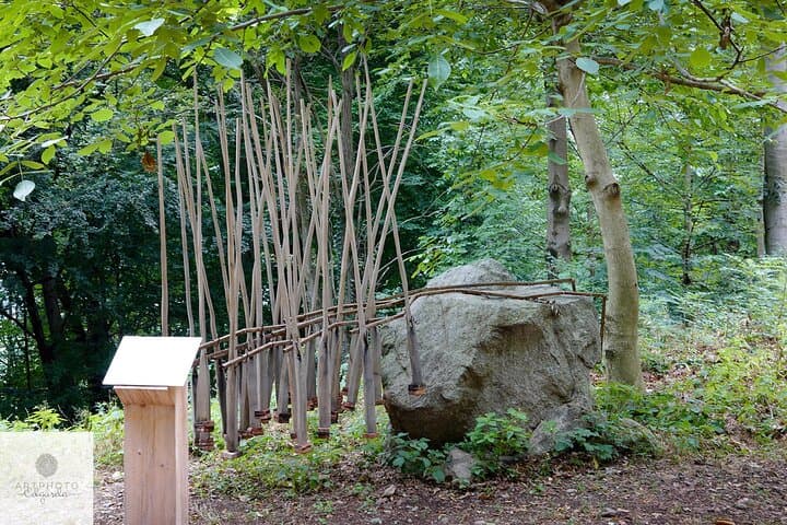 Photo Tour and Artworks in the Capriasca Redde Wood