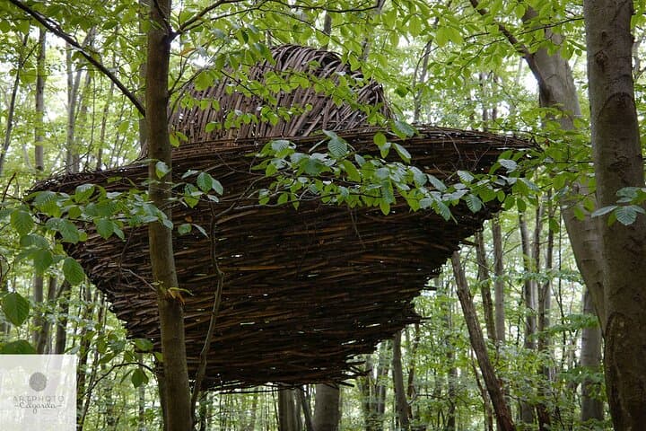 Photo Tour and Artworks in the Capriasca Redde Wood