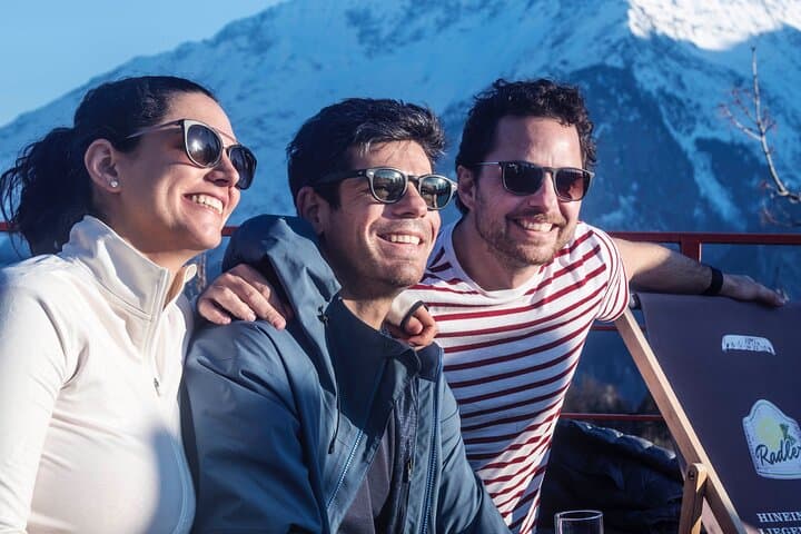 Private Ski Instructor from Lucerne including Transport
