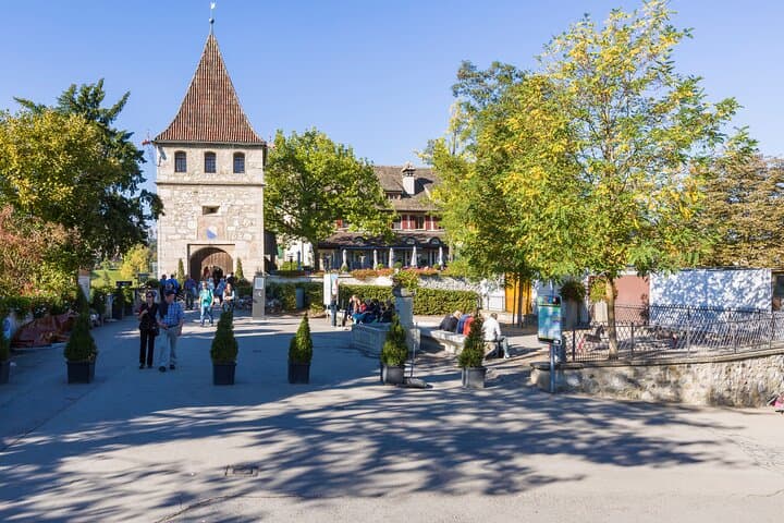Rhine Falls Coach Tour incl. entry tickets from Zurich