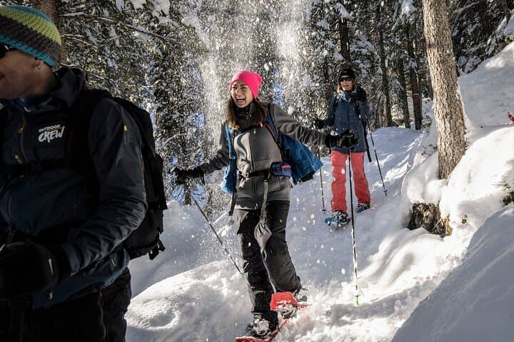 Snowshoe Adventure in the Swiss Alps