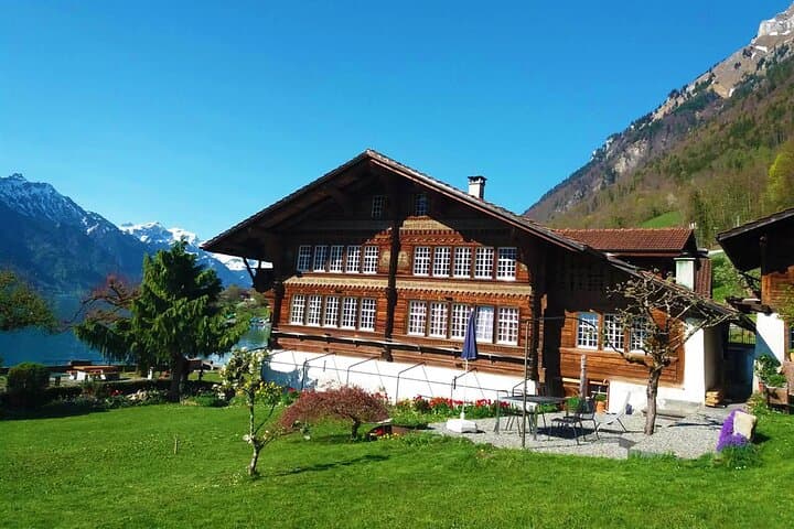 Small group tour to Interlaken with driver guide
