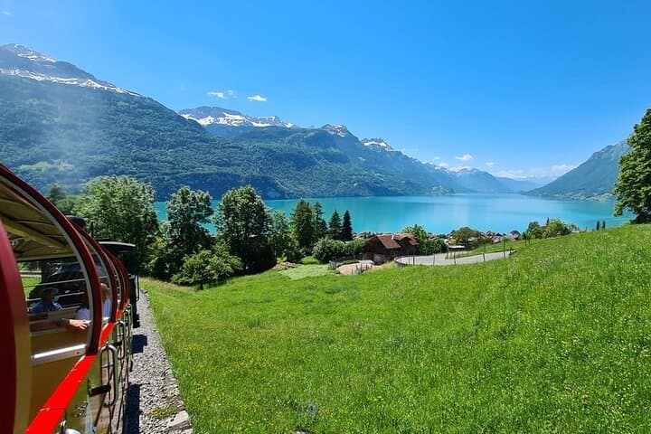 Bernese Alps, Steam Train & Lake Cruise (Private Tour)