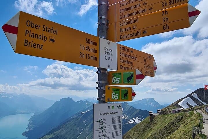 Bernese Alps, Steam Train & Lake Cruise (Private Tour)