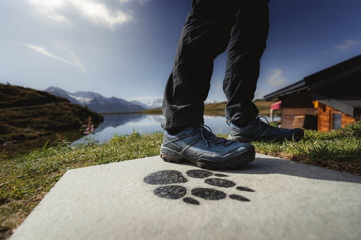 Aletsch Foxtrail Desoria