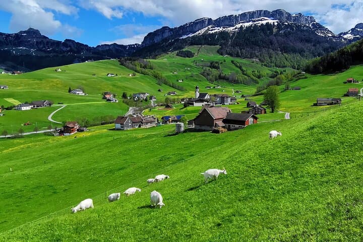 All Inclusive Rhine Falls and Appenzell Private Day Tour from Zurich