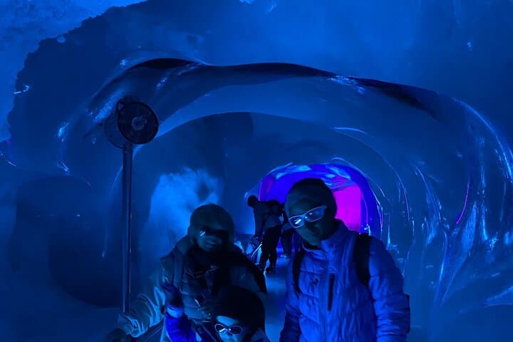 Private Full-Day Mount Titlis Glacier Guided Tour from Zurich