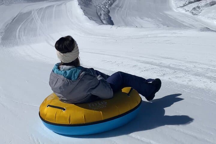 Private Full-Day Mount Titlis Glacier Guided Tour from Zurich