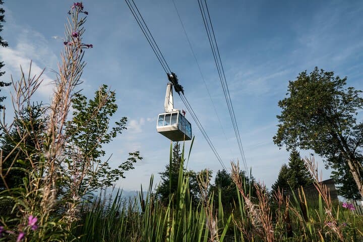Mt Rigi Cable Car Summer