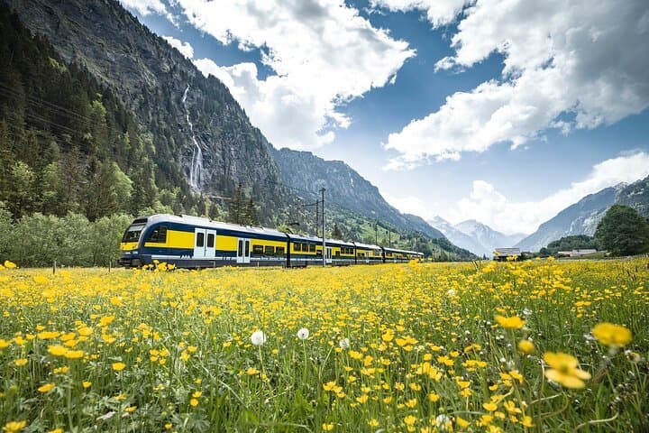 Mt. First Top Adventure Traditional Train