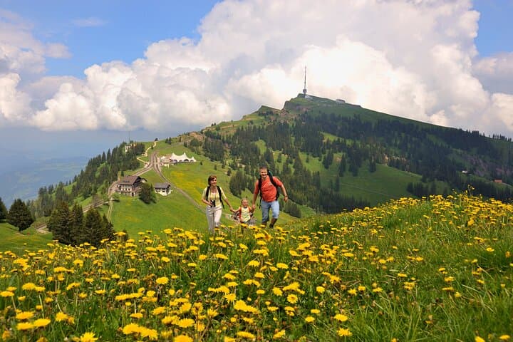 Mt Rigi Family Walks