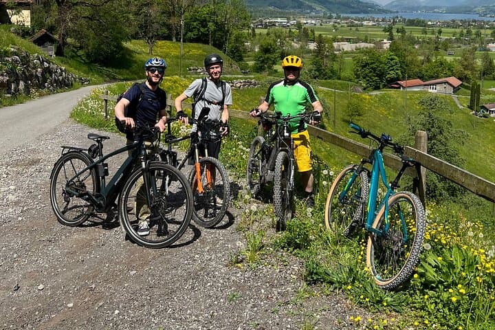 4 Lakes E-Bike Guided Tour and Lake Cruise
