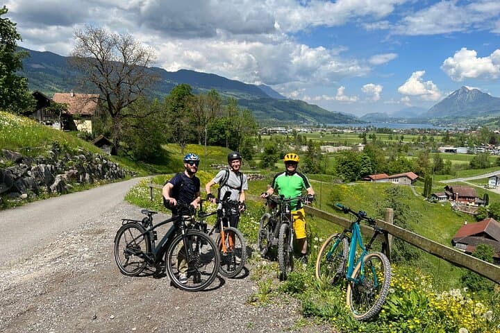 4 Lakes E-Bike Guided Tour and Lake Cruise