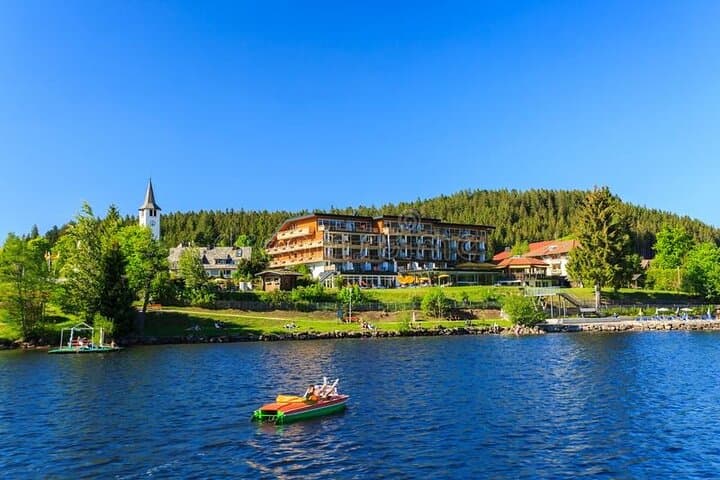 Full-Day Private Tour from Zurich to Lake Titisee Black Forest
