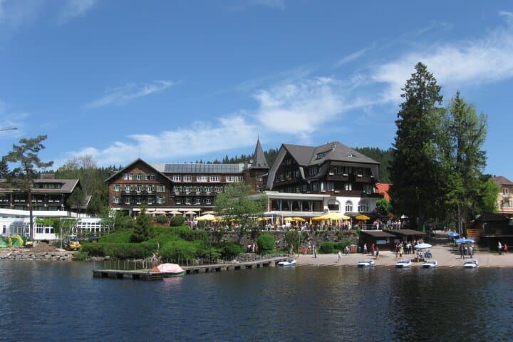 Full-Day Private Tour from Zurich to Lake Titisee Black Forest