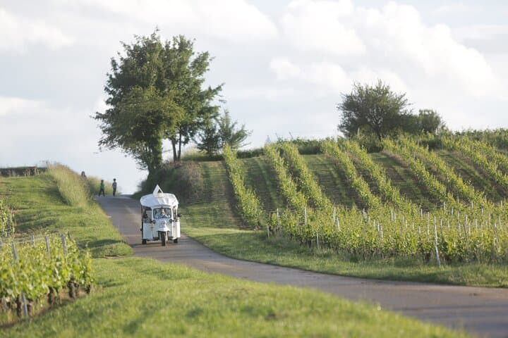 Geneva Panoramic & Tasting Vineyards Tour in an Tuk Tuk