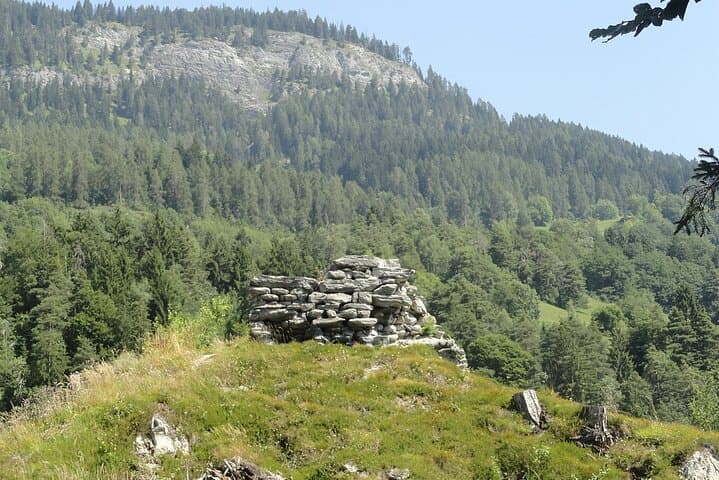 Wackenau ruins
