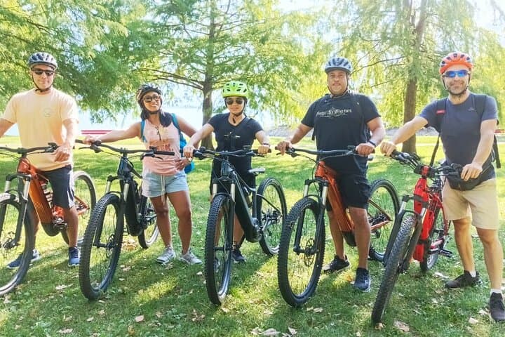 BikeBrix Scenic Cycling Tour in Lake Maggiore Ascona Locarno