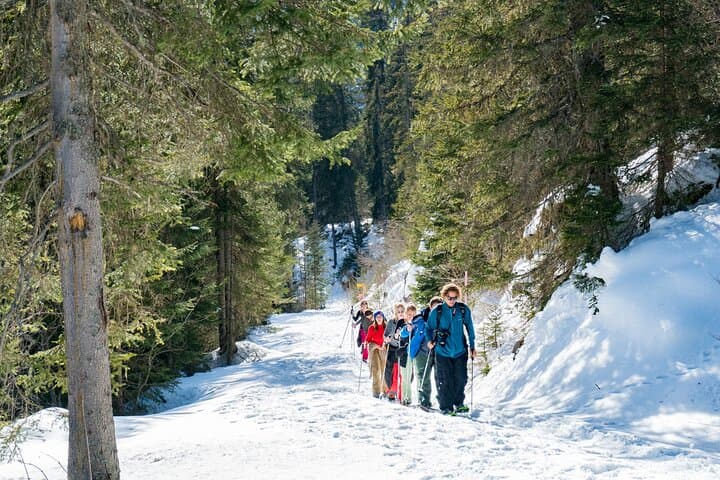 Snowshoe Tour Wetterhorn Grindelwald