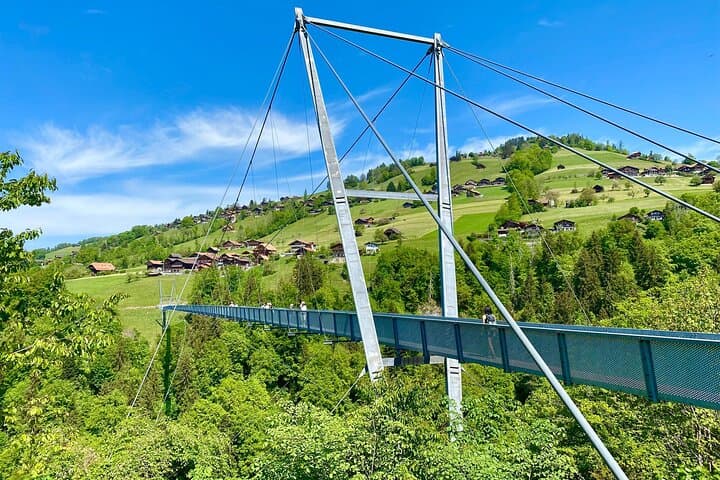 Crash Landing on You Private Switzerland Day Tour from Zurich or Lucerne (CLOY)