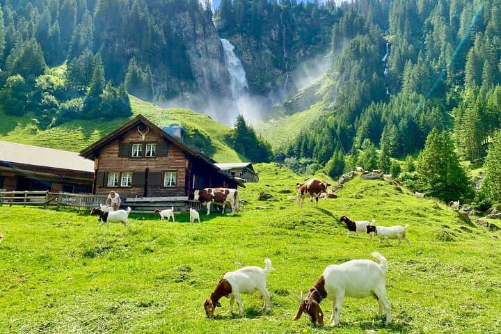 Natural Wonders of Switzerland from Lucerne (1 Day Private Tour)