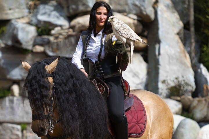 Skip the Line: Falconeria Locarno Ticket