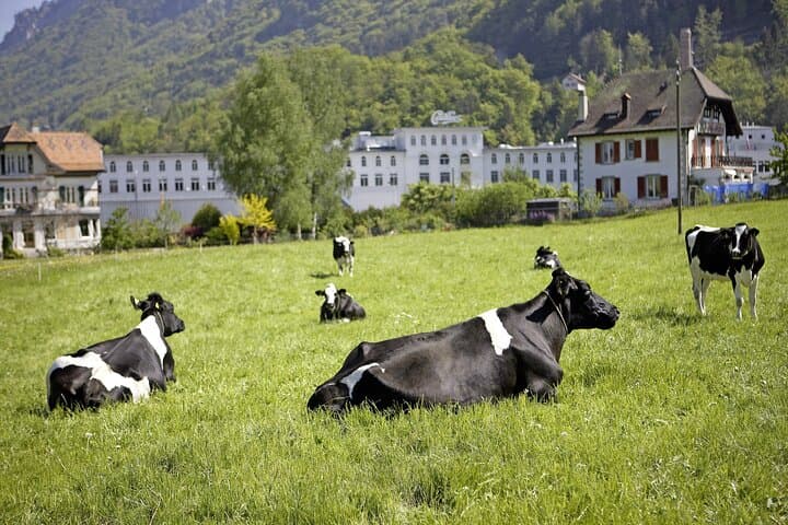 An exceptional setting in Gruyère