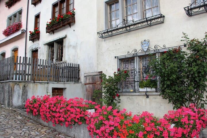 Full-Day Private Tour to Gruyères from Geneva