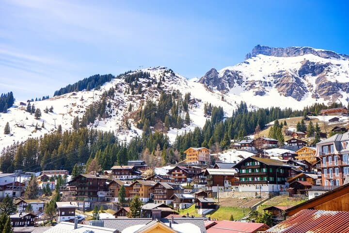 Zurich: Private Daytrip to Swiss Villages(Interlaken-Grindelwald)