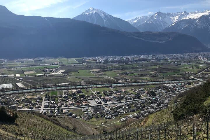 Activity in private minibus, wine tasting in Valais