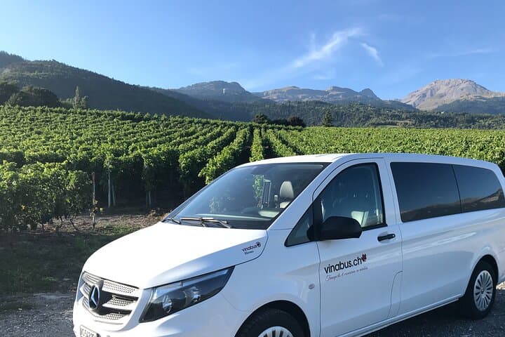 Activity in private minibus, wine tasting in Valais