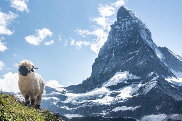 Guided Hiking Half Day in Zermatt