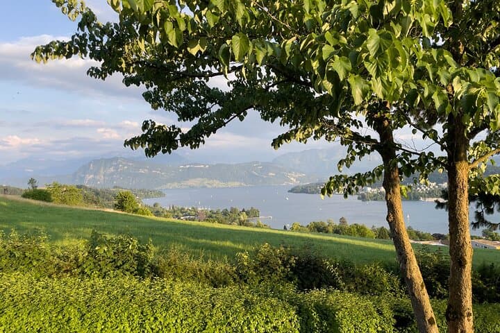 Private Lucerne View and Photo Walking Tour