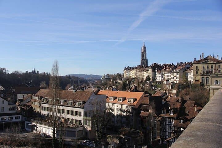 Zurich to Interlaken and Grindelwald full Day Private Trip