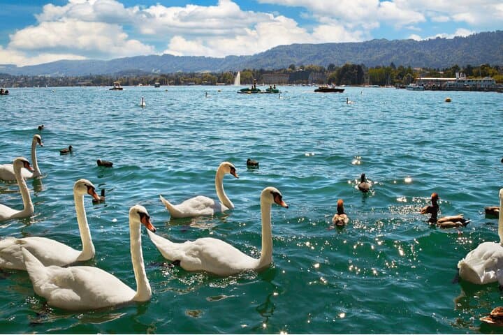 Zurich Lake
