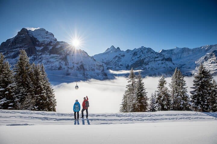 Private Trip to Grindelwald & Lauterbrunnen by Train from Zurich