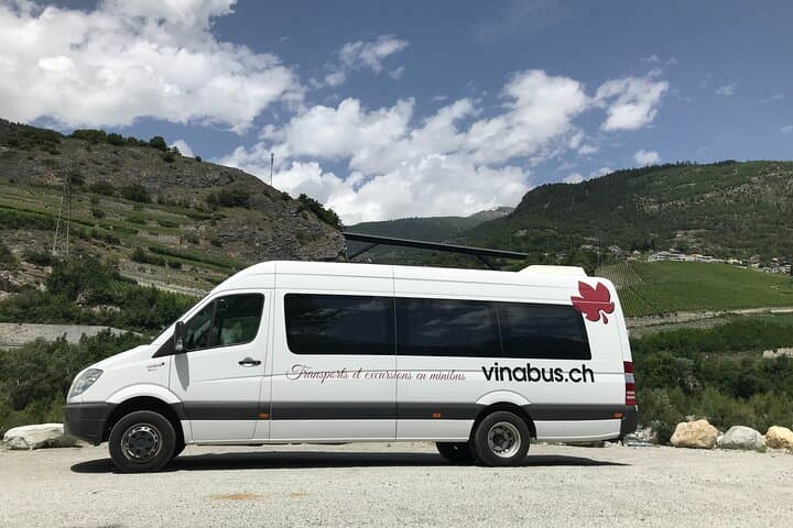 Activity in private minibus, wine tasting in Valais