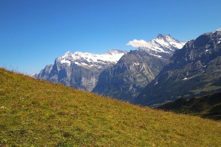 From Zurich to Top of Europe Jungfraujoch private tour